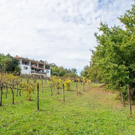 Appartamento Quinta da Quinta Vieira do Minho Esterno foto