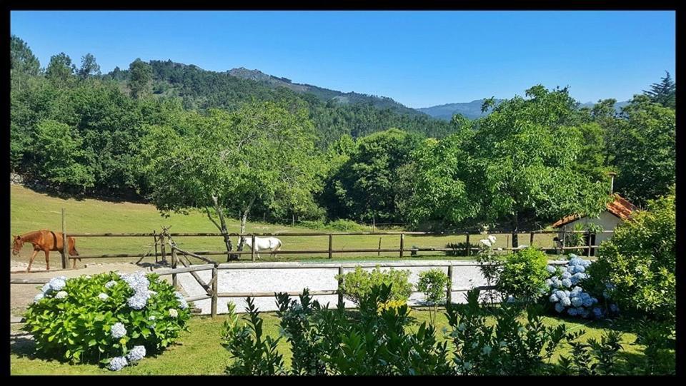 Appartamento Quinta da Quinta Vieira do Minho Esterno foto