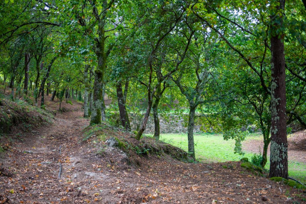 Appartamento Quinta da Quinta Vieira do Minho Esterno foto