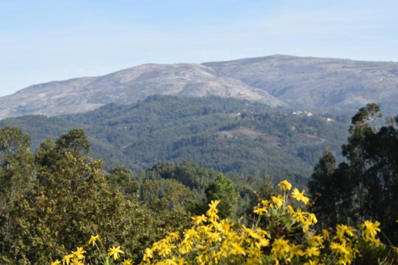 Appartamento Quinta da Quinta Vieira do Minho Esterno foto